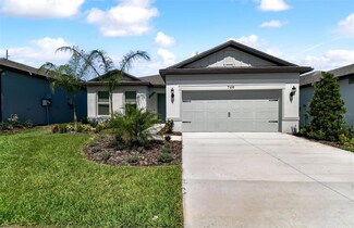 749 Little Cloud Place, Valrico, FL 33594