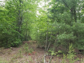 202 Cooper Shop Trail, Lowgap, NC 27024