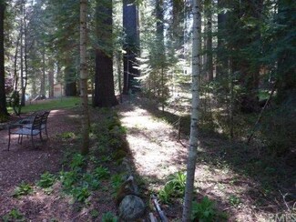 0 Mariposa St Unit YG13117252, Wawona, CA 95389