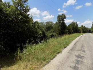 Tbd Cane Creek Rd, Kissee Mills, MO 65680