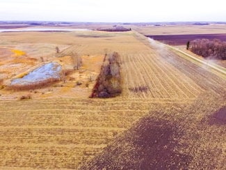 Tbd 170th St, Madison, MN 56256