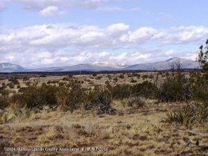 L206 Tincup Rd, Ancho, NM 88318
