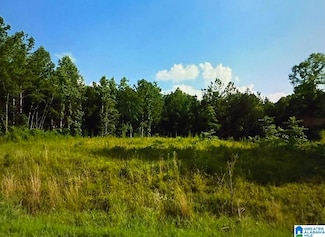 895 Mountain Crest Dr Unit 21, Pell City, AL 35128