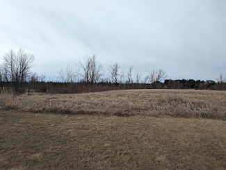 Lot 5 Geneva Golf Club Dr, Alexandria Township, MN 56308