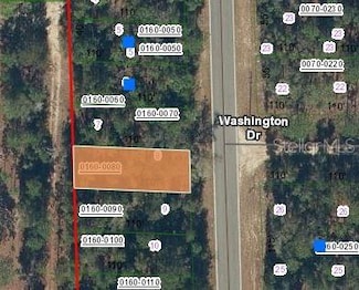 465 Baden Powell Rd, Hawthorne, FL 32640