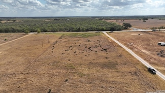 0000 Farm To Market 462, Moore, TX 78057