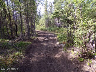 Mile 106.5 Richardson Hwy, Copper Center, AK 99573