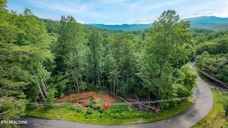 0 Cherry View Ln, Gatlinburg, TN 37876