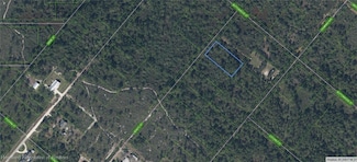 721 Bonito Ave, Lake Placid, FL 33852