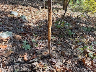 000 Delbridge Rd, Potosi, MO 63664