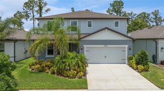20814 Monza Loop, Land O' Lakes, FL 34638