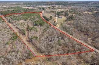 8765 Farm To Market Road 1650, Gilmer, TX 75645