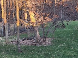 Lot 1641 Tanglewood Dr, Roberts Township, IL 61375