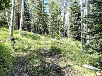 644 Columbine Dr, Cimarron, CO 81220