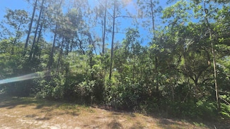 329 Palm Way, Georgetown Cove, FL 32139