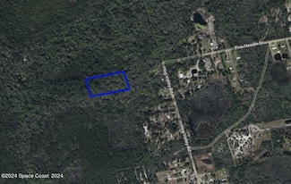 Xxx Pine Needle Rd, Indian River Park, FL 32754