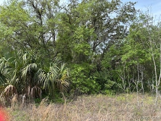 5831 W Dunnellon Rd, Dunnellon, FL 34433