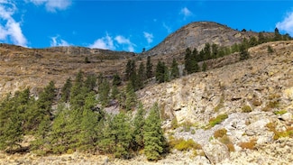 0 Way, Omak, WA 98841