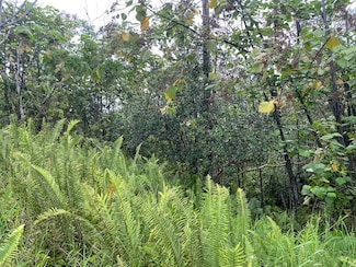 0 W Pohakupele Loop, Pahoa, HI 96778