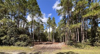 4192 Oleander Ave, Bunnell, FL 32110