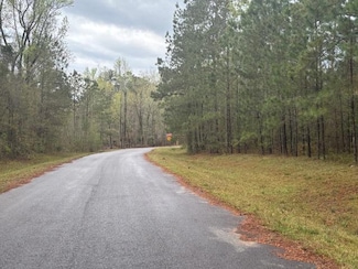 Lot 6 Allison Dr, Bainbridge, GA 39819