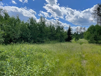 XXX County Road 145, Jenkins, MN 56456