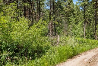 513 Susan Rd, Cascade, ID 83611