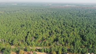0 Planer Mill Rd-80 Acres, Deridder, LA 70634