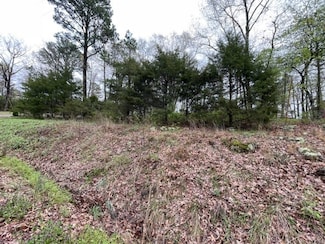 32 S Hills Loop, Eureka Springs, AR 72631