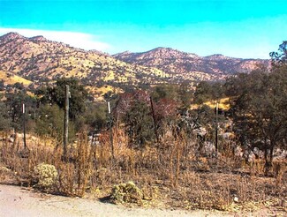 61 Pebble Ln, Squaw Valley, CA 93675