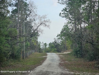 0 Colonel Ave Unit 2252664, Webster, FL 33597