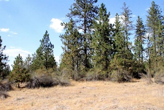NHN Fisher Rd E, Reardan, WA 99029