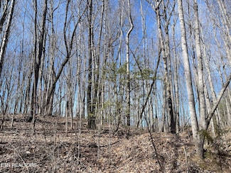 448 Otis Davis Rd, Pikeville, TN 37367