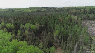 280 Acres County Road Ccn, Ishpeming, MI 49849