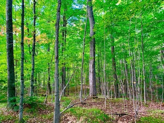 7 Acres Tamarack Rd, Summit Lake, WI 54485