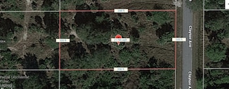 1315 Clayton Ave, Lehigh Acres, FL 33972