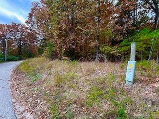 0 Sawmill Rd Unit 25044693, Mountain View, AR 72560