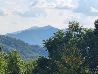 LOT 41 Matho Trace, Lake Lure, NC 28746