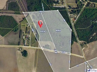 12 Acres Manantial Rd, Lamar, SC 29069