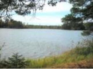6705 N Spider Ln, Mercer, WI 54547