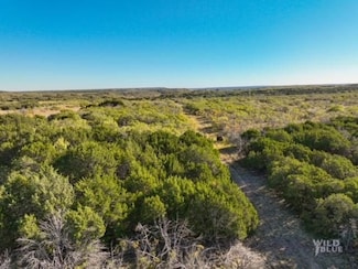 000 Big Country Trail, Strawn, TX 76475