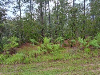 0 SW 127 Ave Unit OM646139, Dunnellon, FL 34432