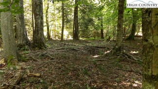 127 Wild Daisy Ln, Beech Mountain, NC 28604