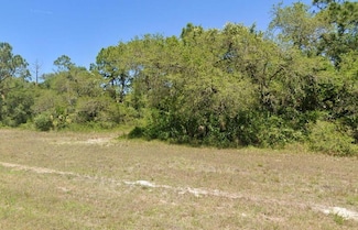 344 James Irwin Terrace, Labelle, FL 33935