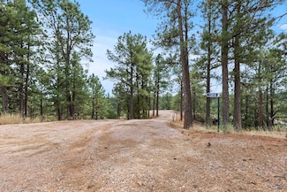 13859 Melvin Rd, East Custer, SD 57744