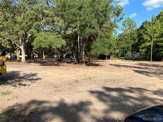 6471 N Morton Point, Hernando, FL 34442