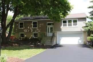 4415 Shabbona Ln, Lisle, IL 60532