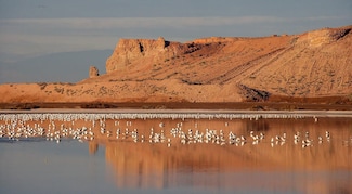 1174 Riviera Cir, Thermal, CA 92274