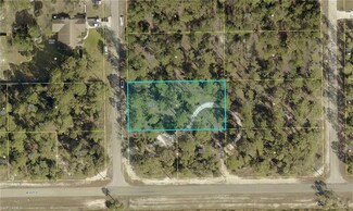 1672 Palmetto Ave, Lehigh Acres, FL 33972