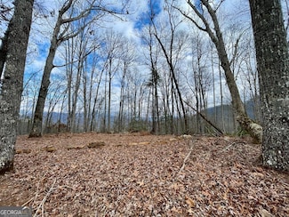 #114 Eagles View Dr, Hayesville, NC 28904